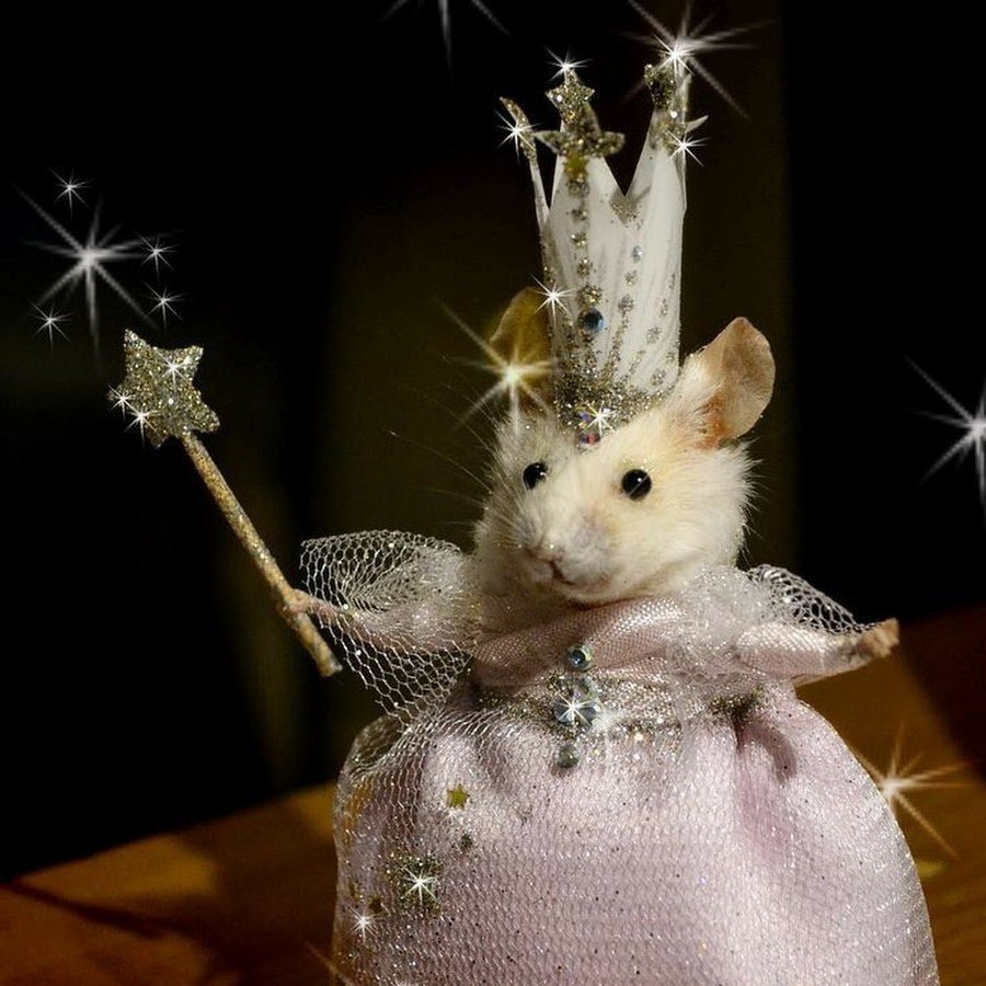 Крыса с красными глазами и надписью