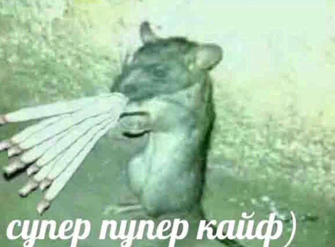 Курт Рихтер эксперимент