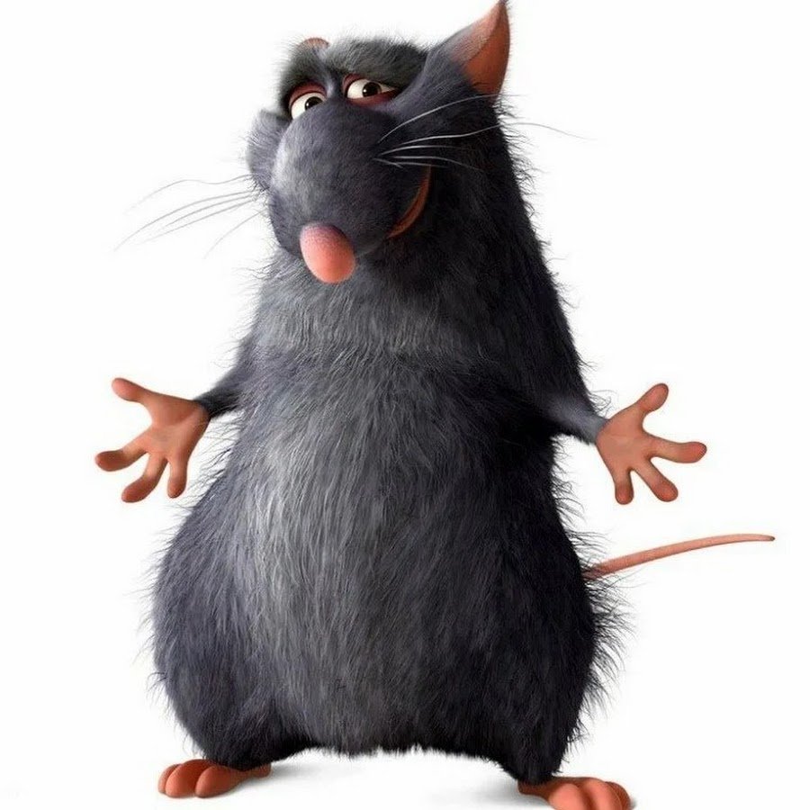 Открытка с крысой