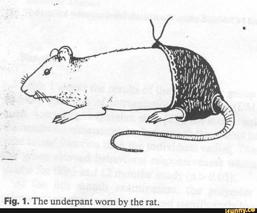 Это был самый настоящий год крысы сидели в норках