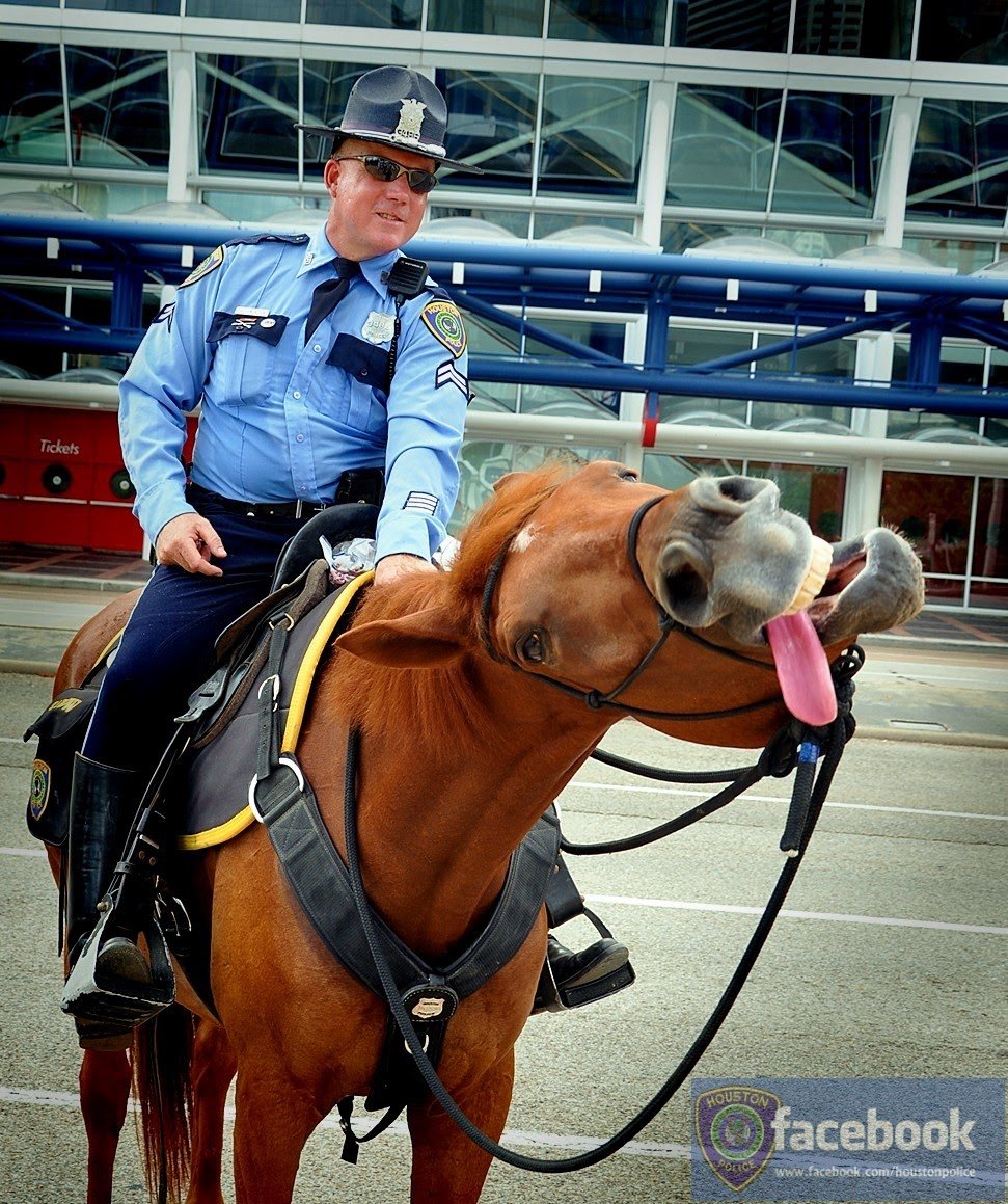 Конная полиция и пажар