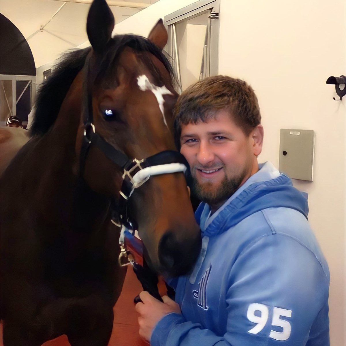 Табун вороных лошадей