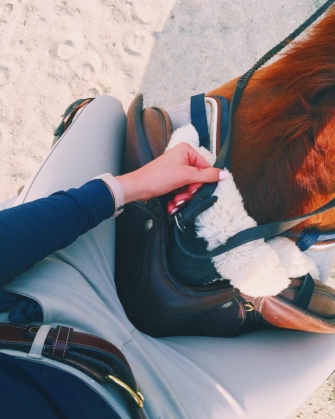 Лошадь в конюшне