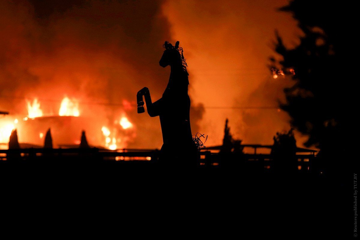 Девушка и конь Эстетика