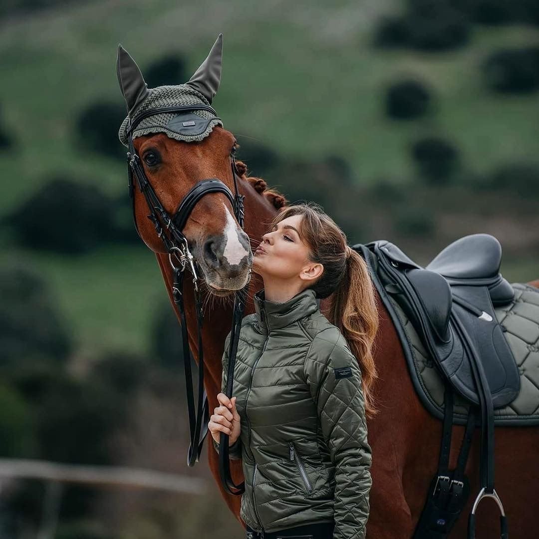 Эстетика лошадей на закате