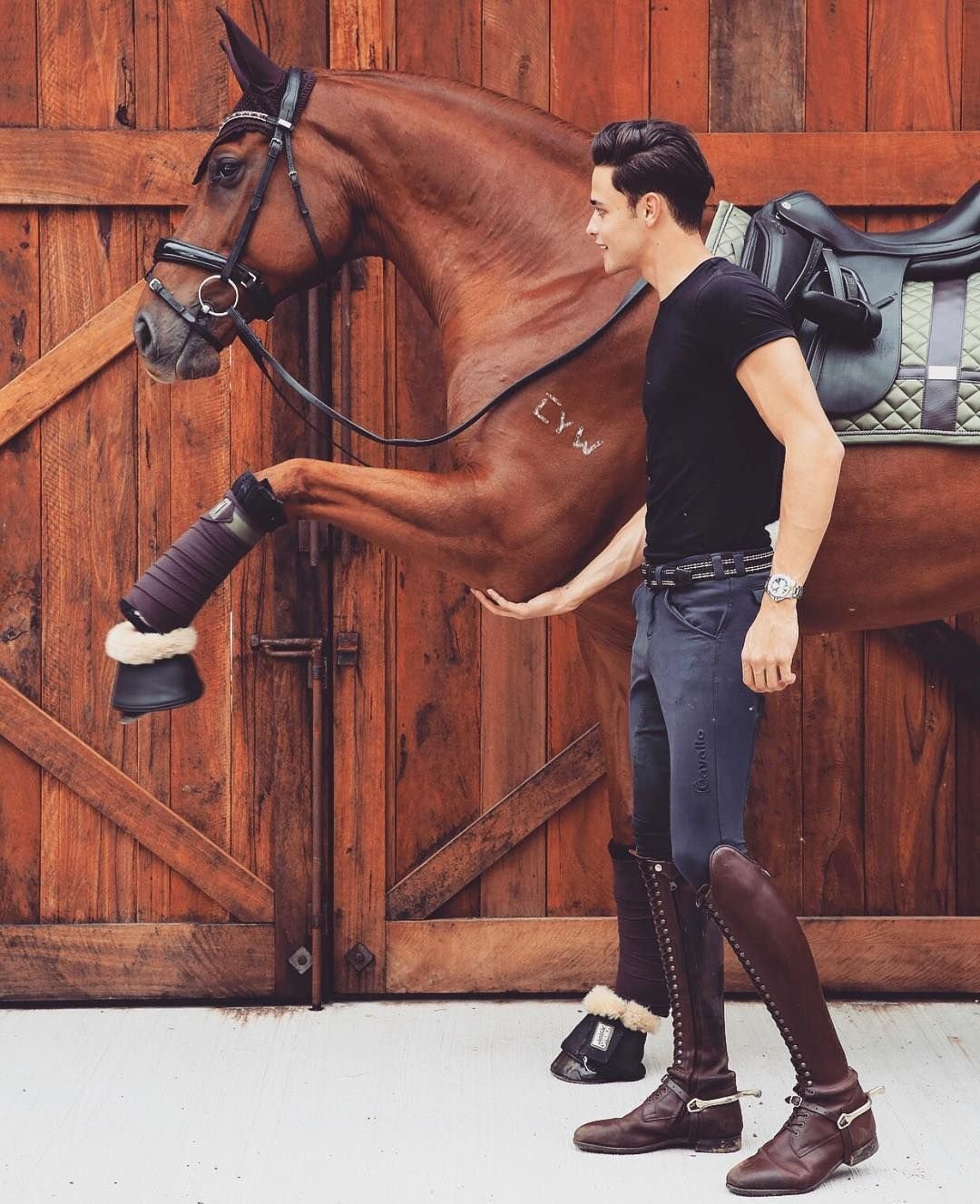 Лошадь в кольчуге