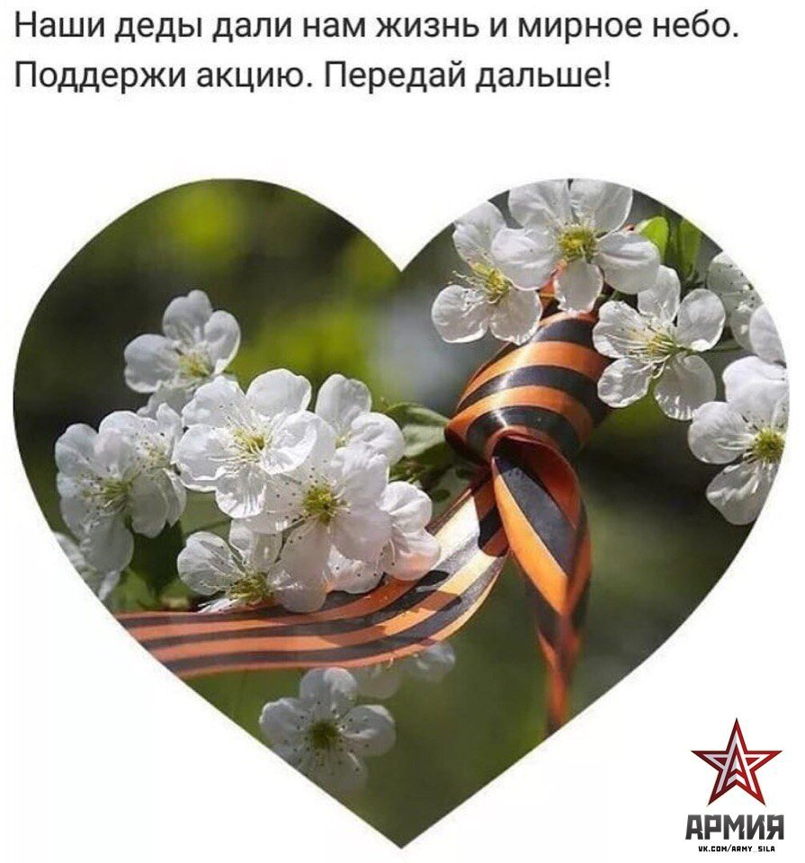 Голуби в небе