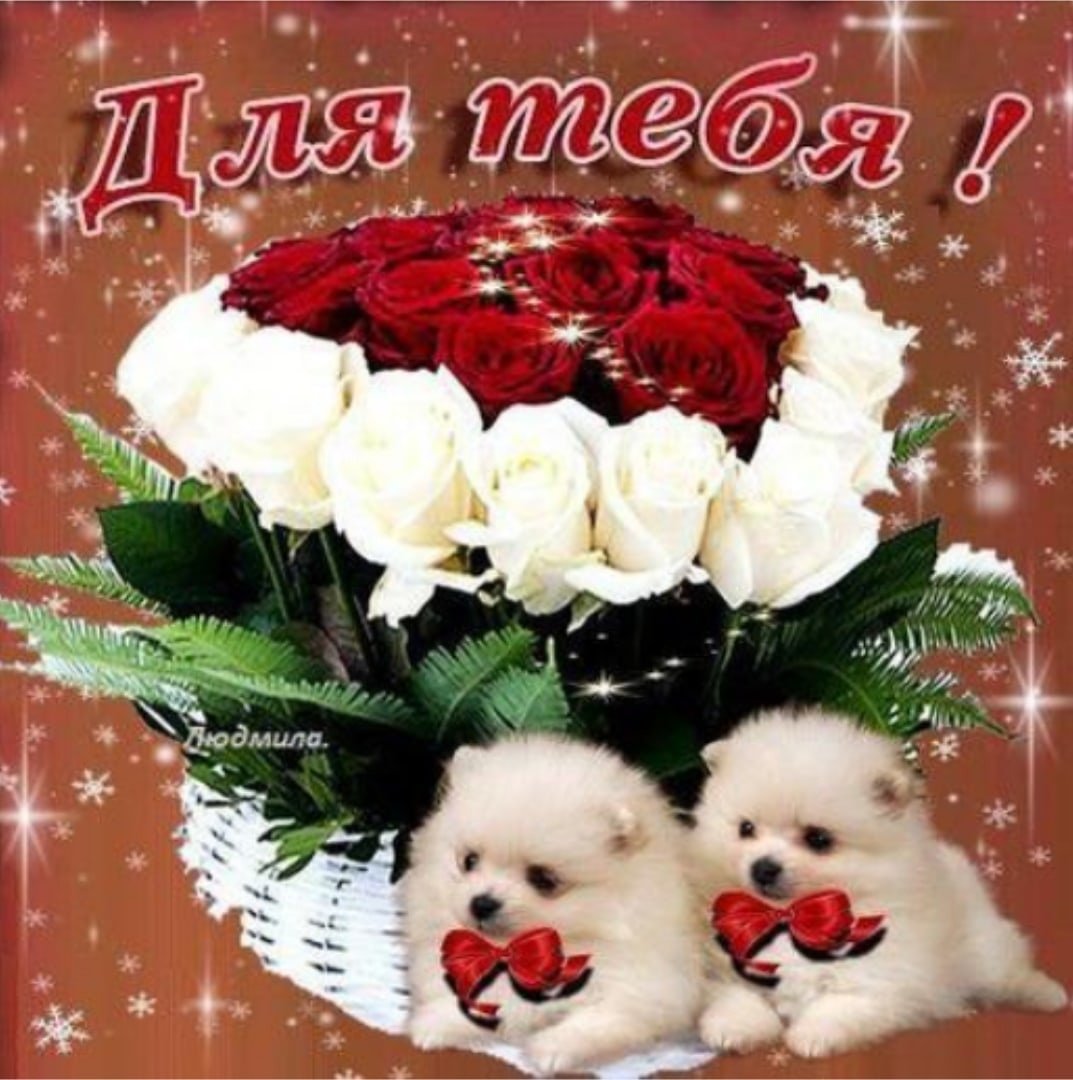 Открытка для тебя