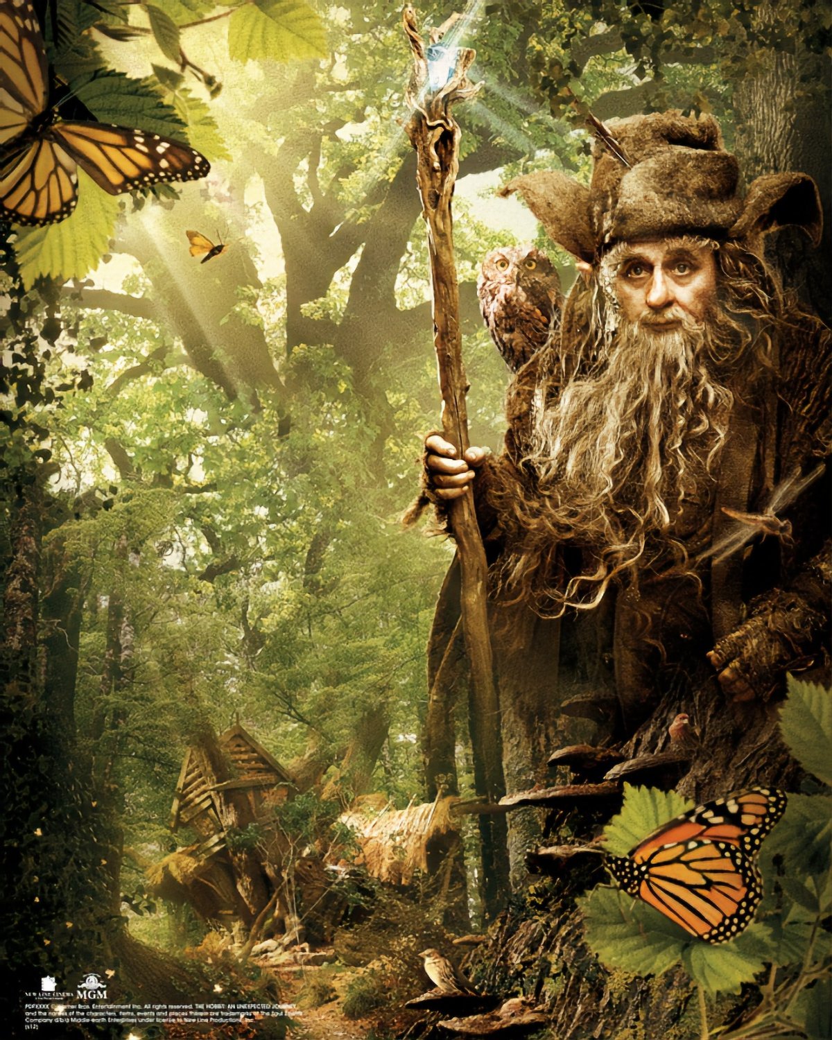 Хоббит волшебник Радагаст