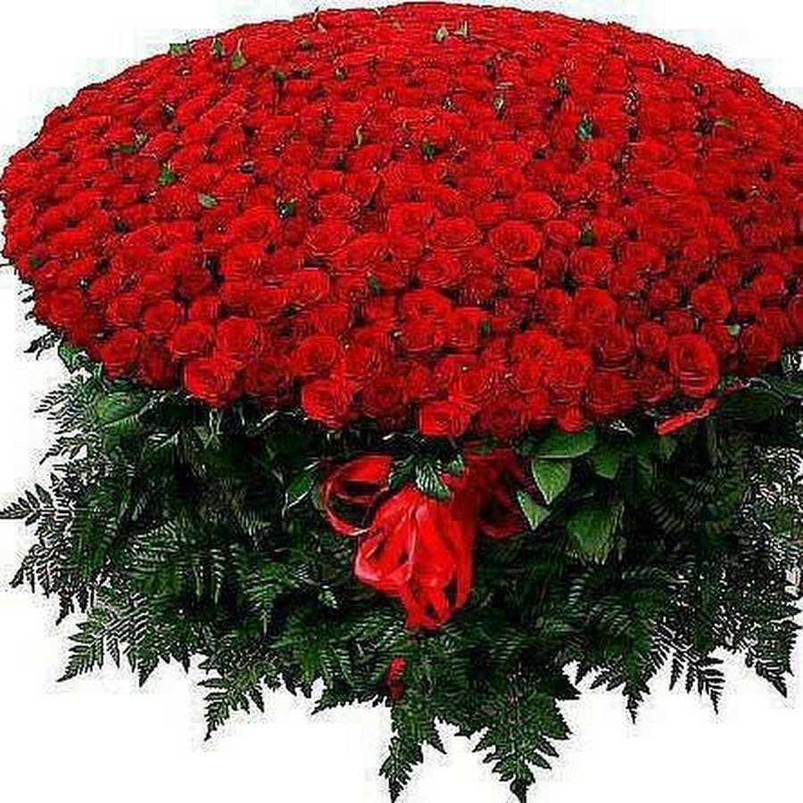 Огромный букет роз поздравляю