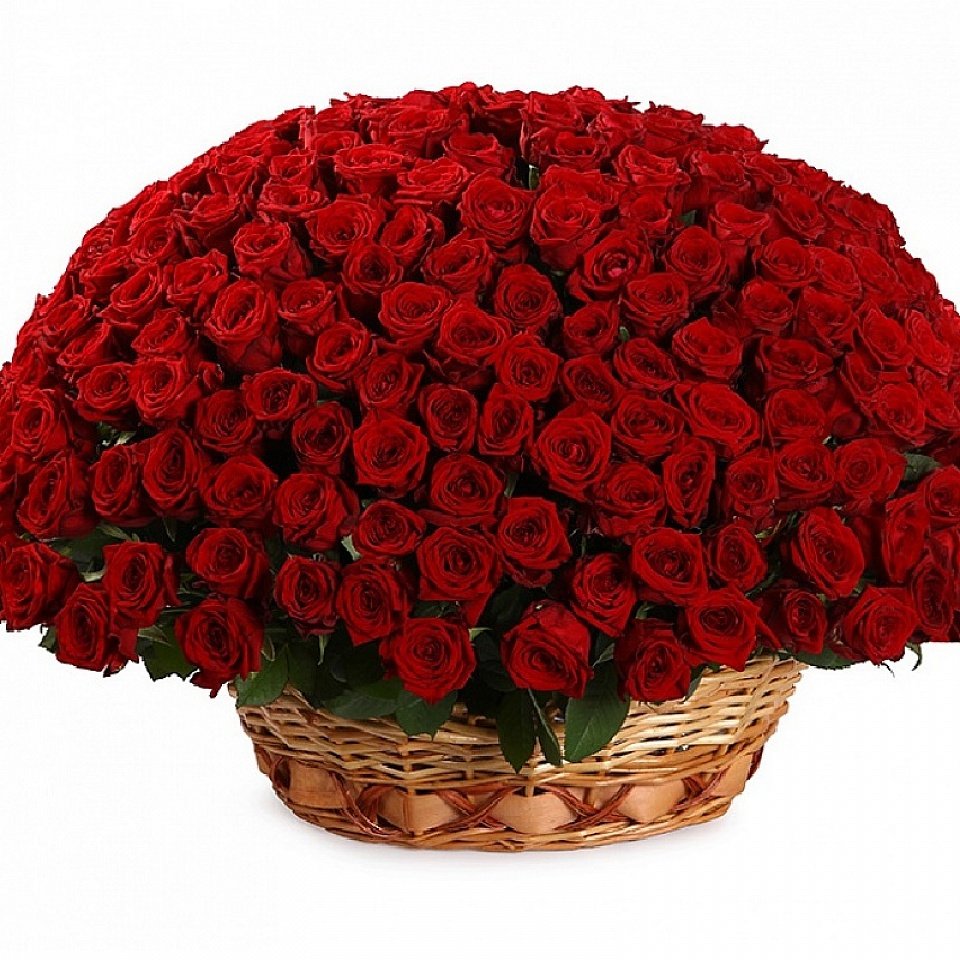 Большой букет красных роз с днем рождения