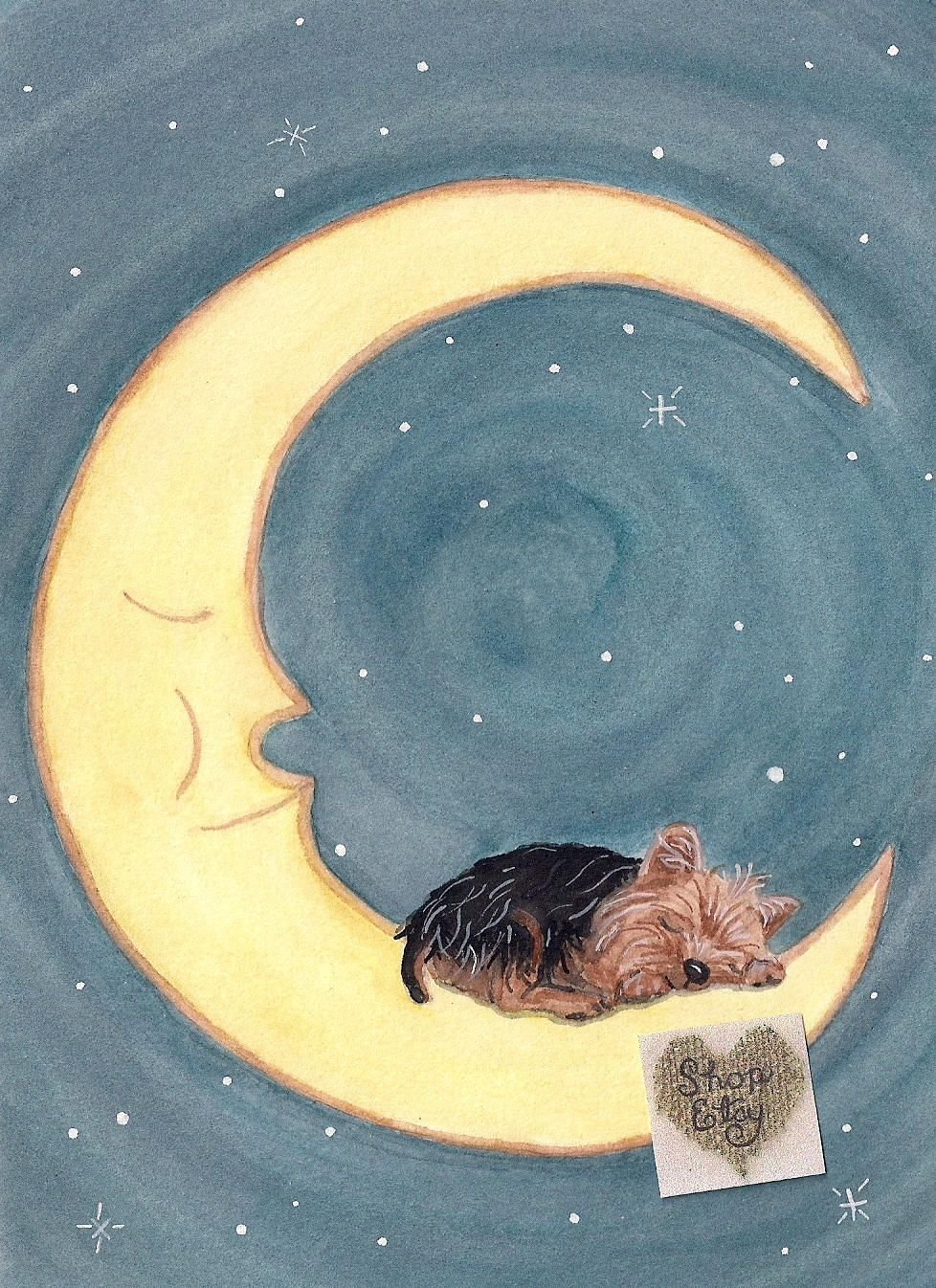 Милые собачки с кепкой