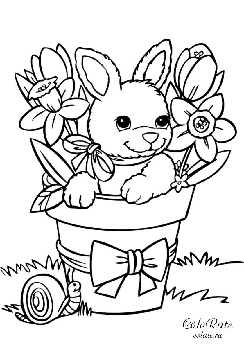 Rabbit face раскраска для детей