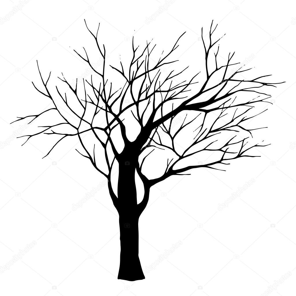 Картинка раскраска дерево без листьев для детей