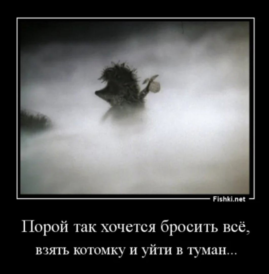 Ежик в тумане цитаты
