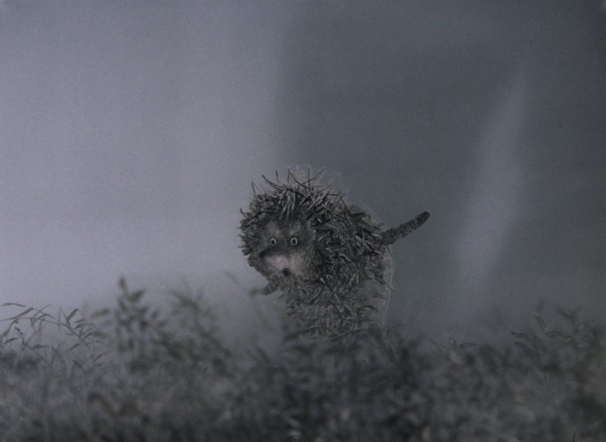 Норштейн Ежик в тумане