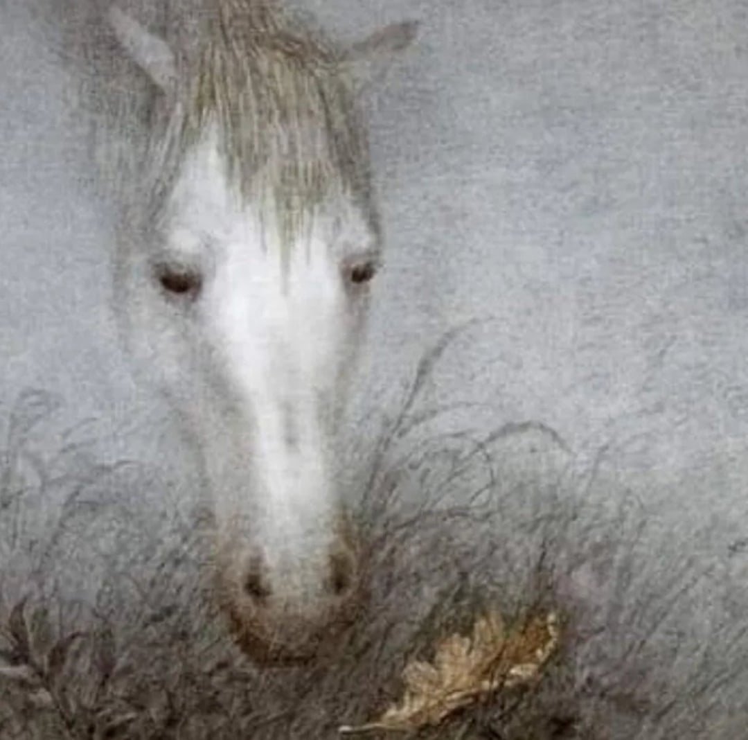 Шерстяная акварель Ежик в тумане