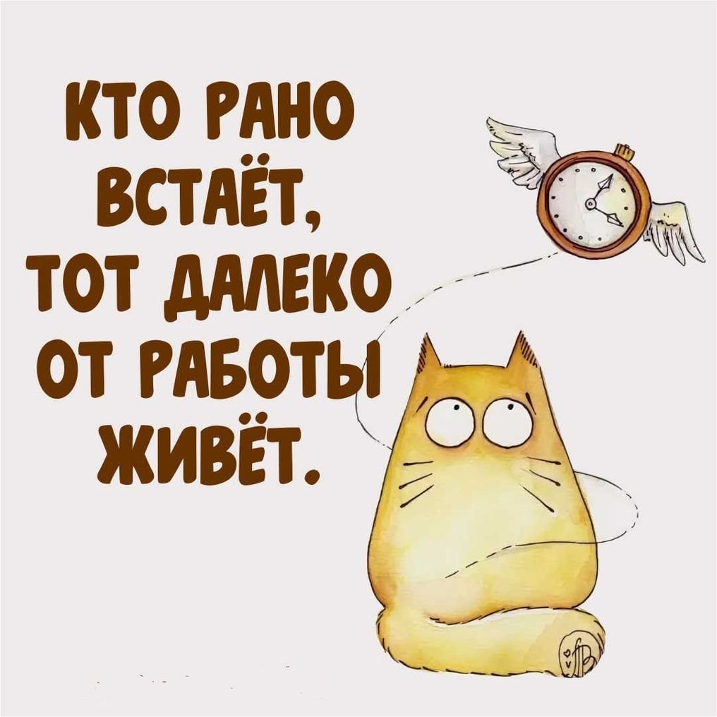 Открытки с добрым утром прикольные для мужчины