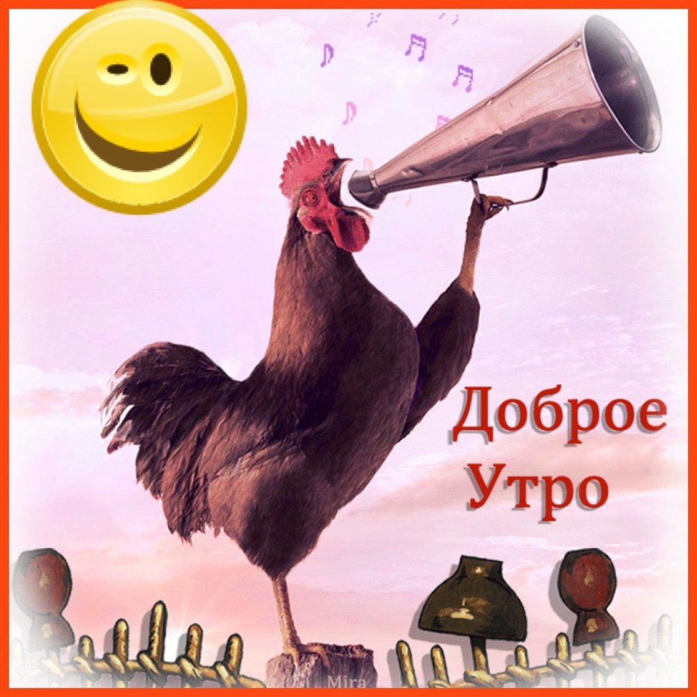 Кот пьет кофе