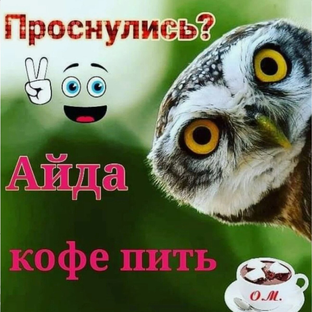 Кошачьи лапы из-под одеяла