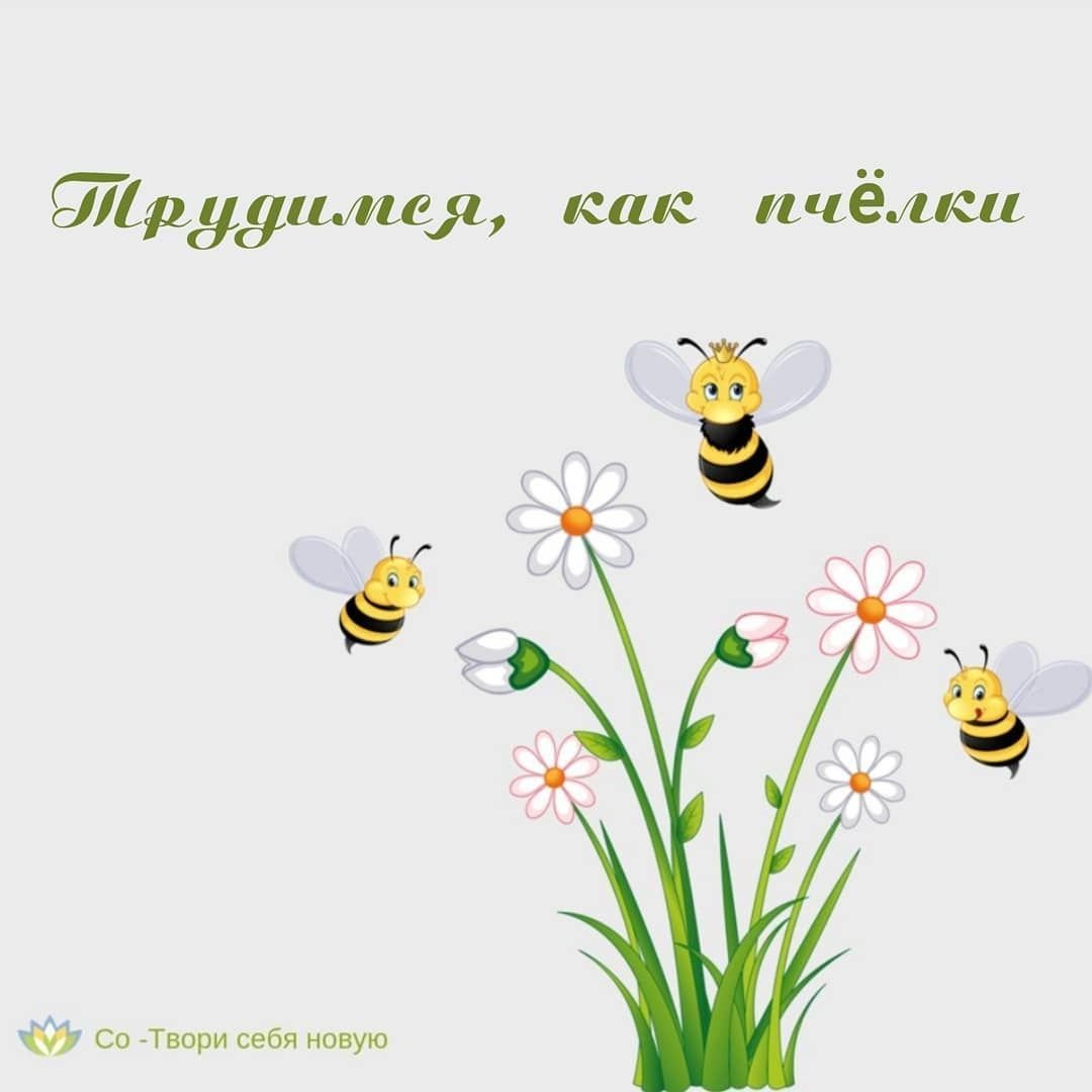 Медовый спас открытки