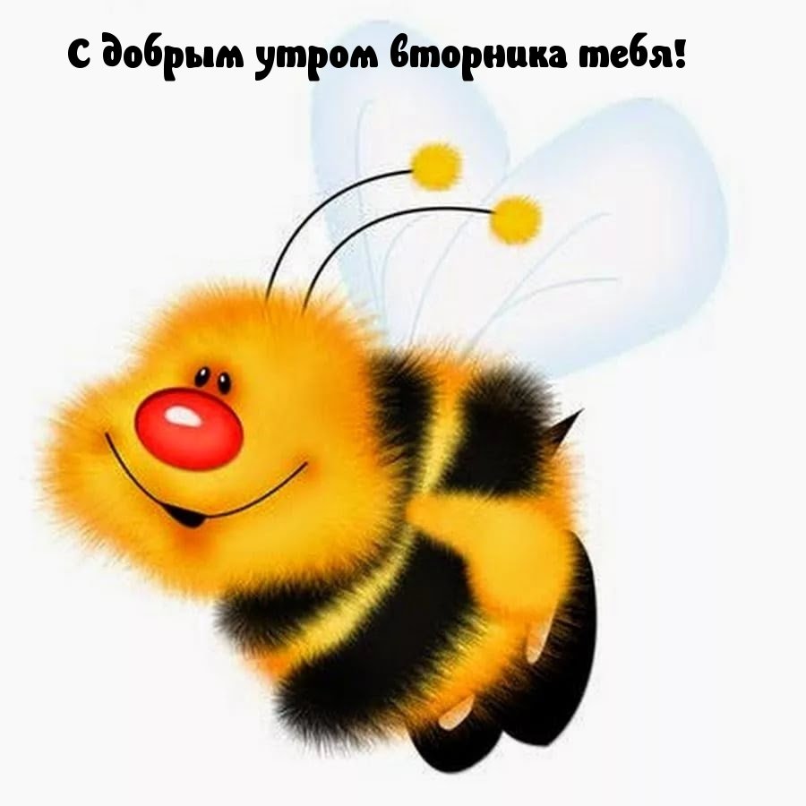 Открытка "Божья коровка"