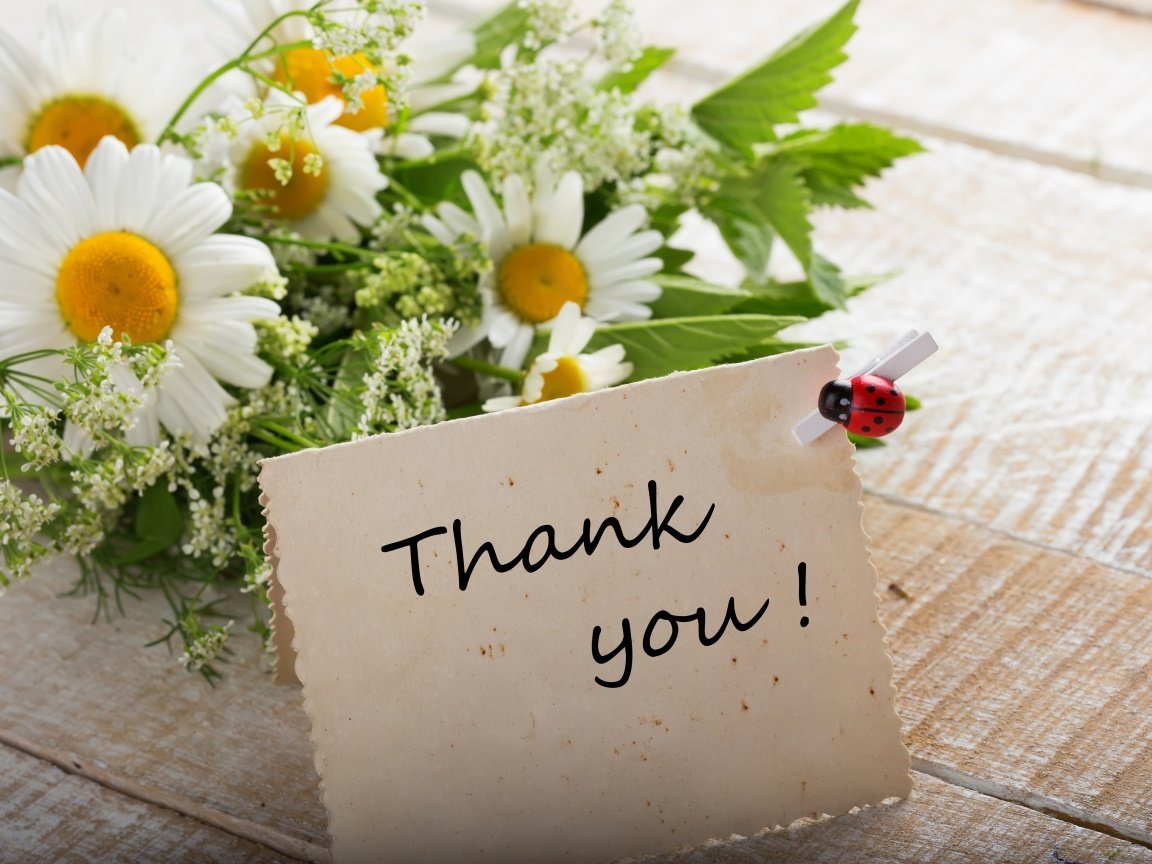 Добрый день Инстаграм