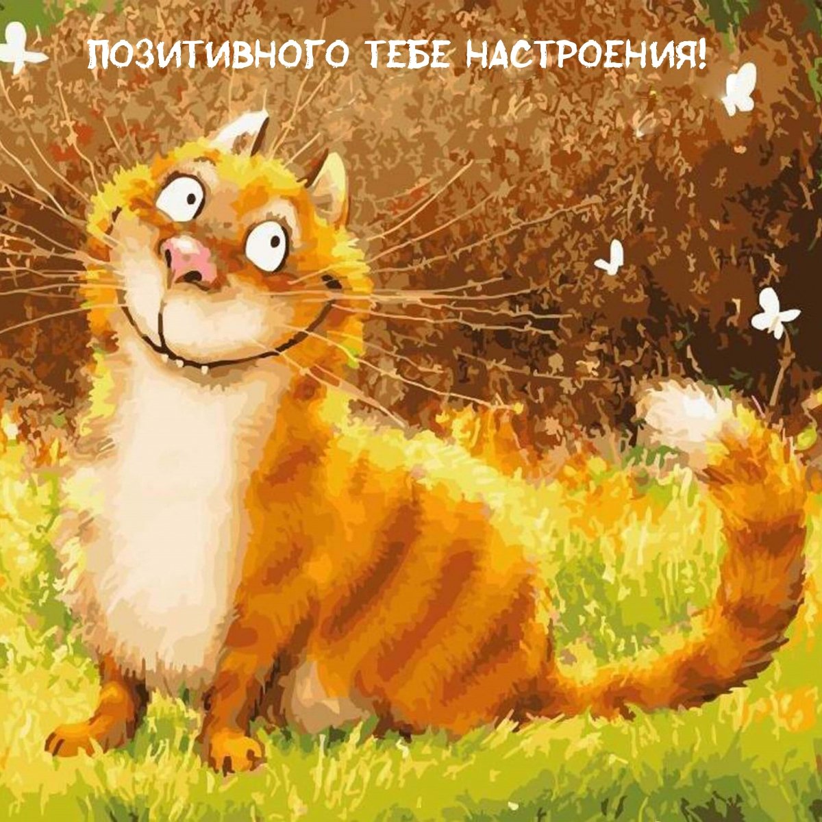 Счастливый кот