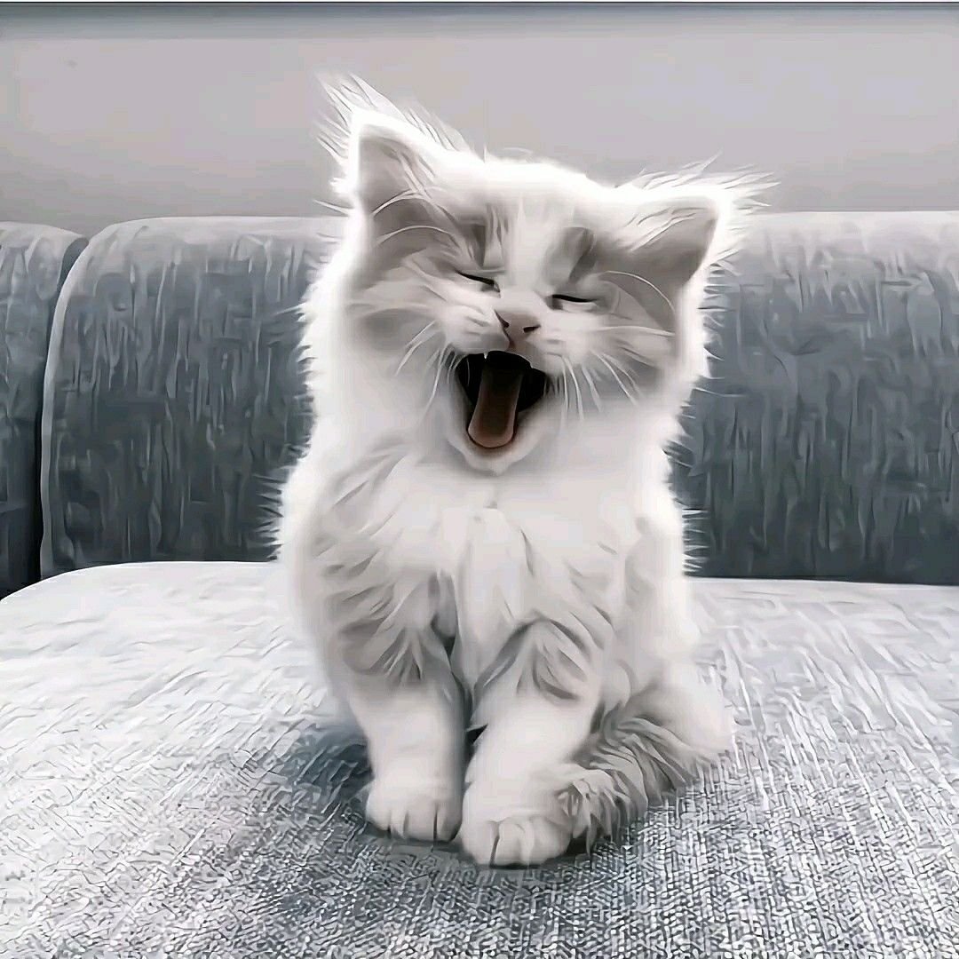 Няшный котенок