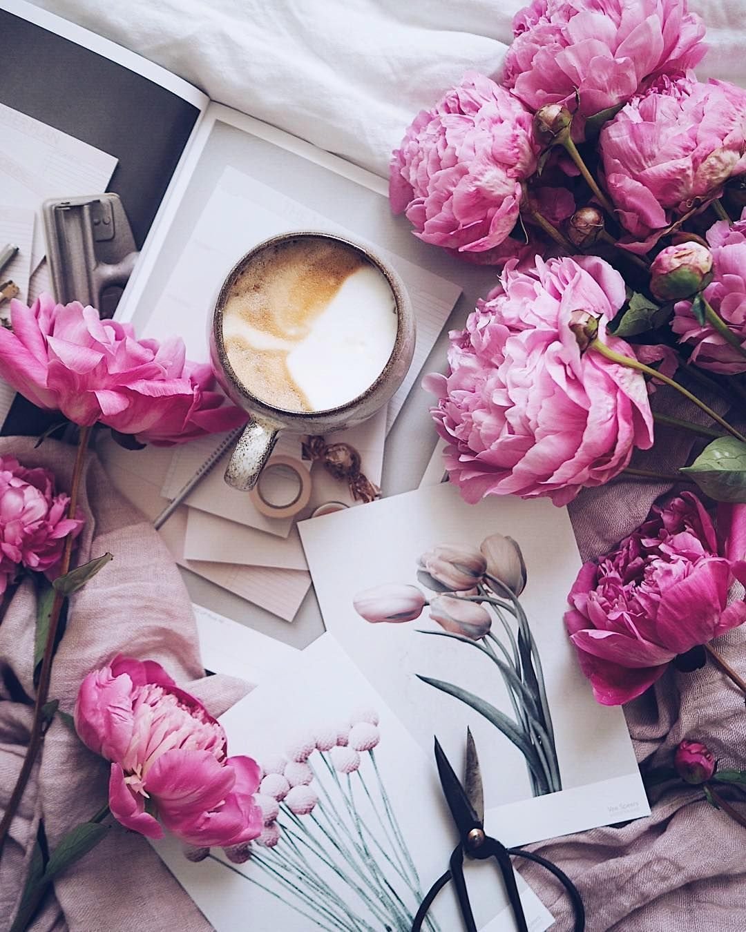 Пионы Эстетика