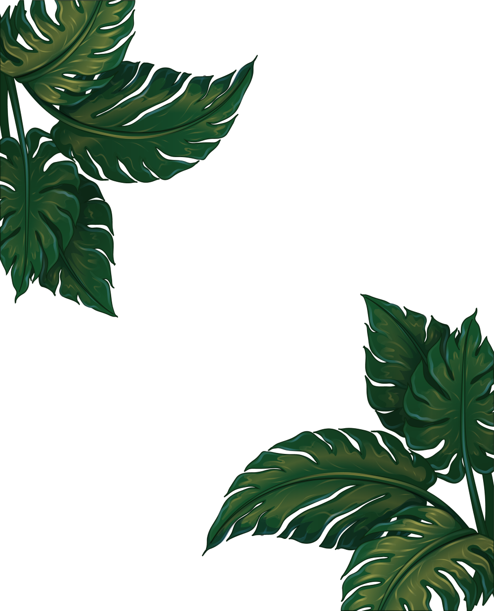 Листья без фона