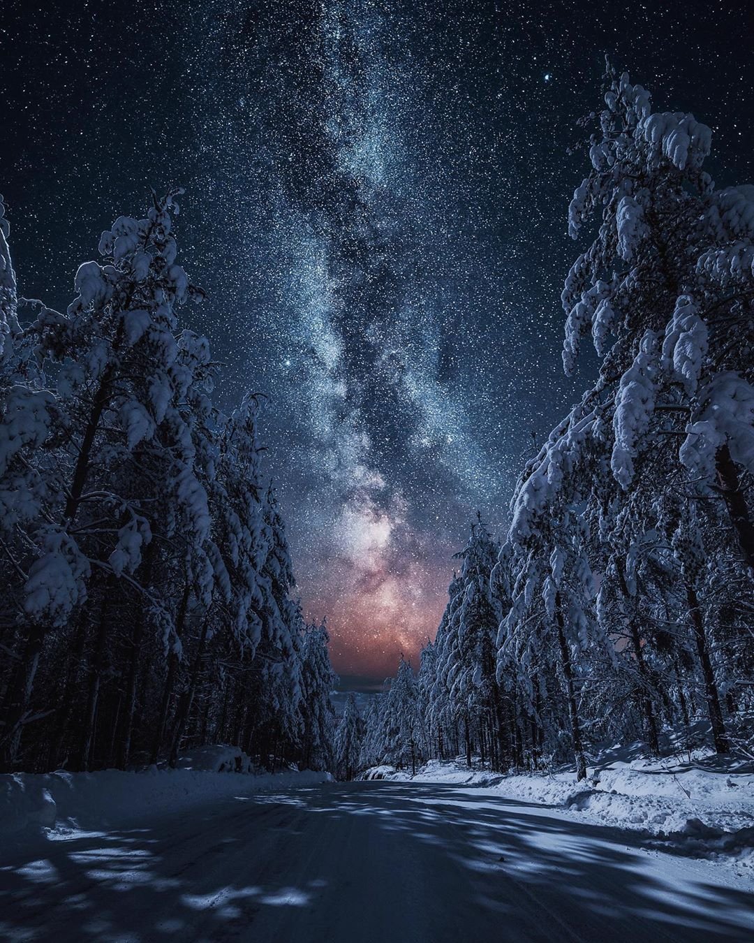 Ночной зимний лес