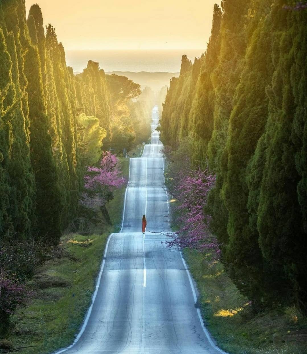 Путь дорога