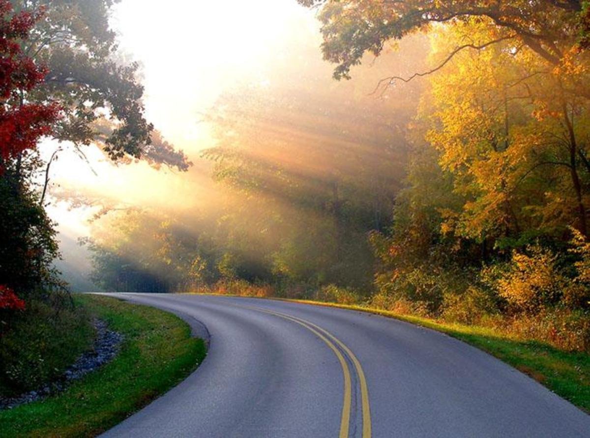 Утро в пути