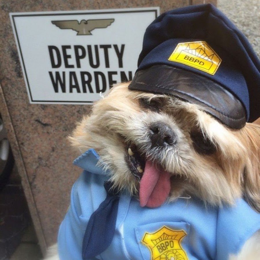 Смешной охранник