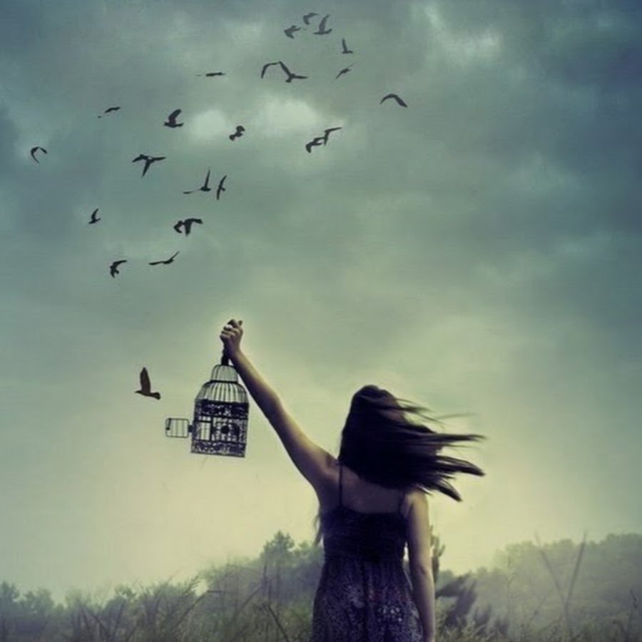 Отпустить птицу