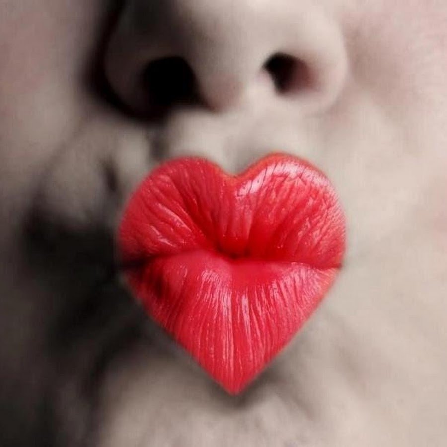 Поцелуйчики губки