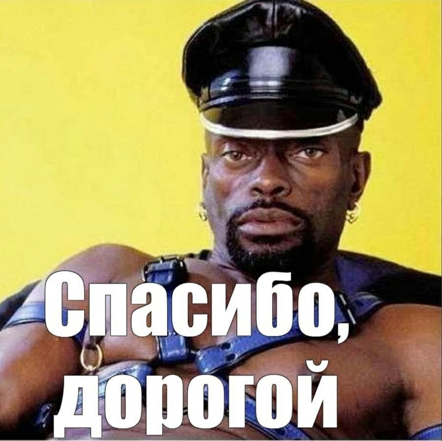 Кот отдает честь лапой