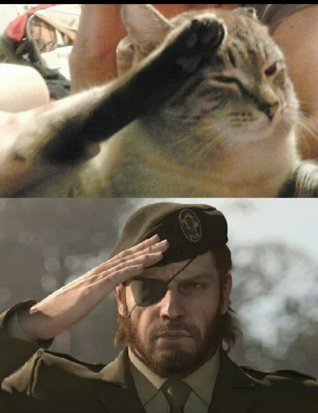 Дмитрий Медведев Мем