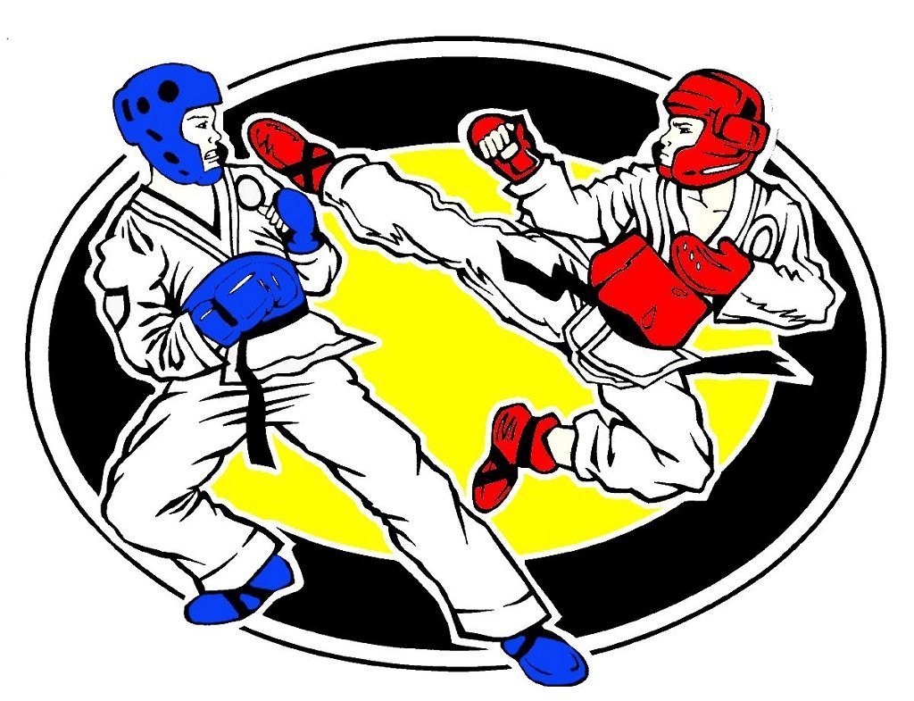 Тхэквондо ИТФ вектор