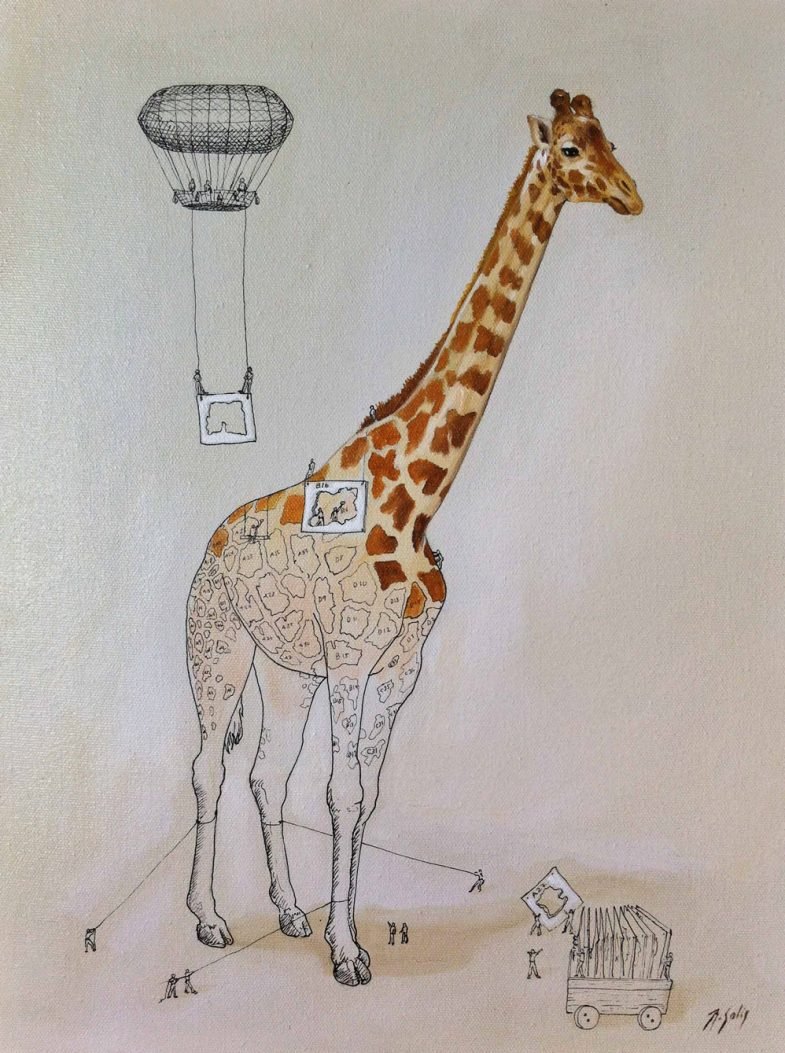 Жираф рисунок
