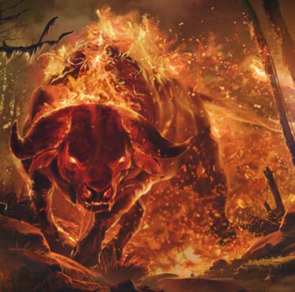 Злая овчарка