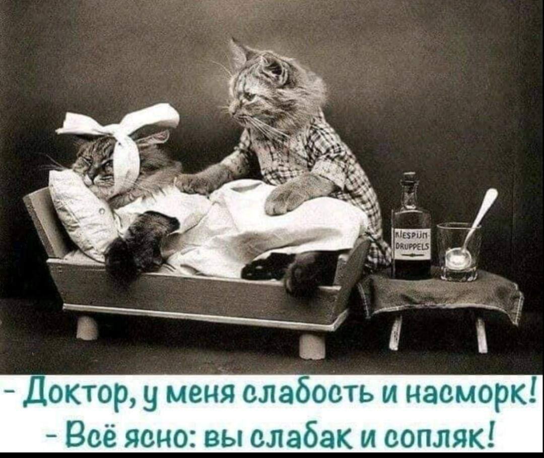 Выздоравливай доченька