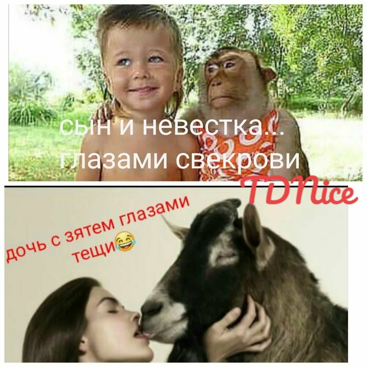 Дочь с мужем глазами тещи