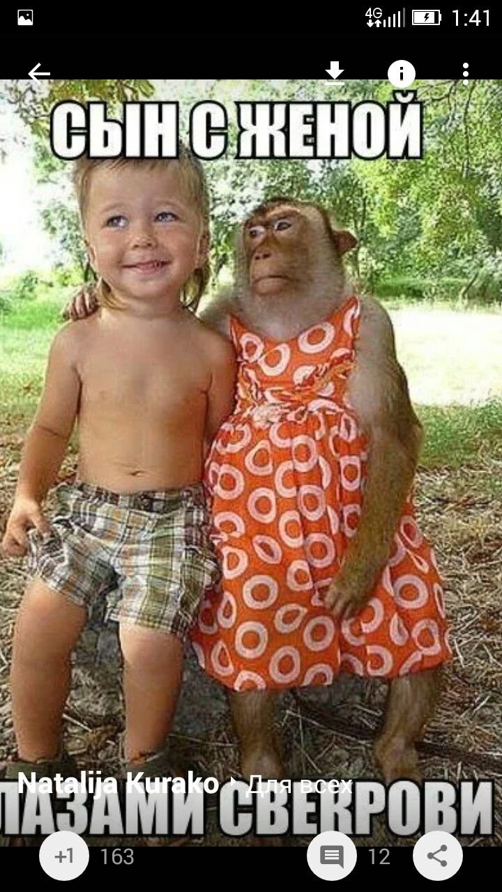 Смешные мамы и папы