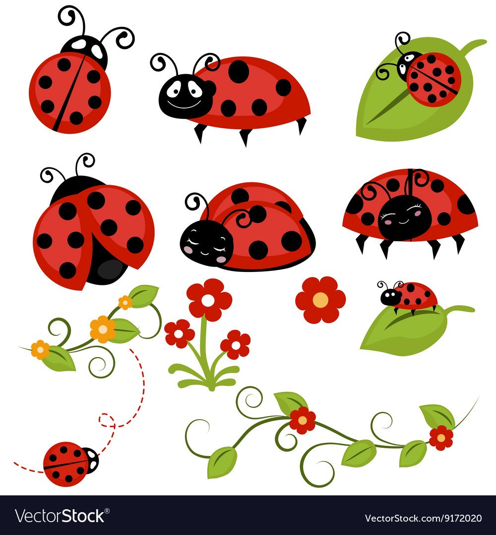 4 Божьи коровки на белом фоне