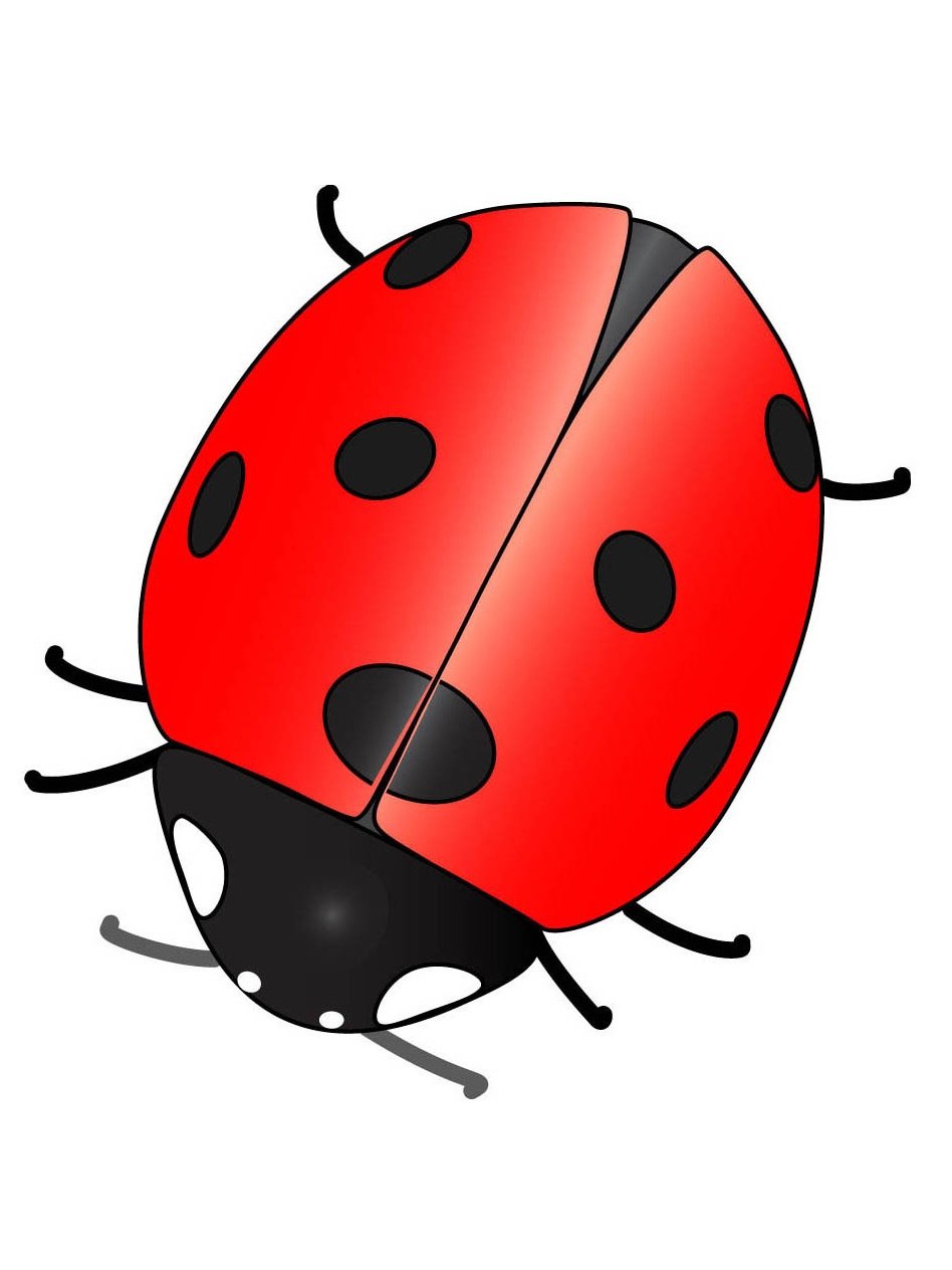 Божья коровка рисунок для детей