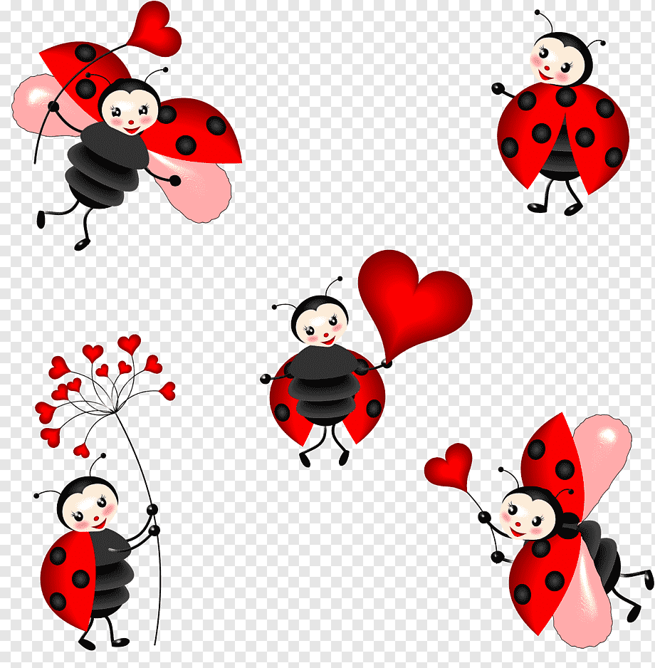 Божья коровка с сердечком