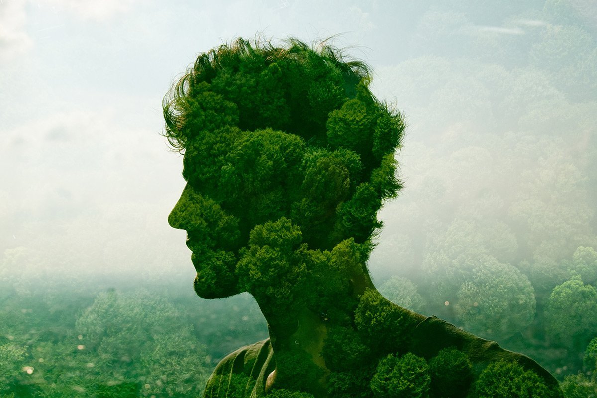 Человек часть природы