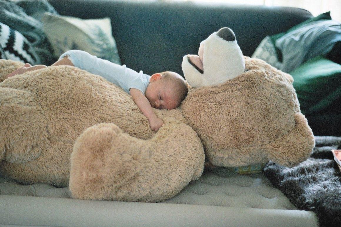 Мишка Эстетика Рилаккума